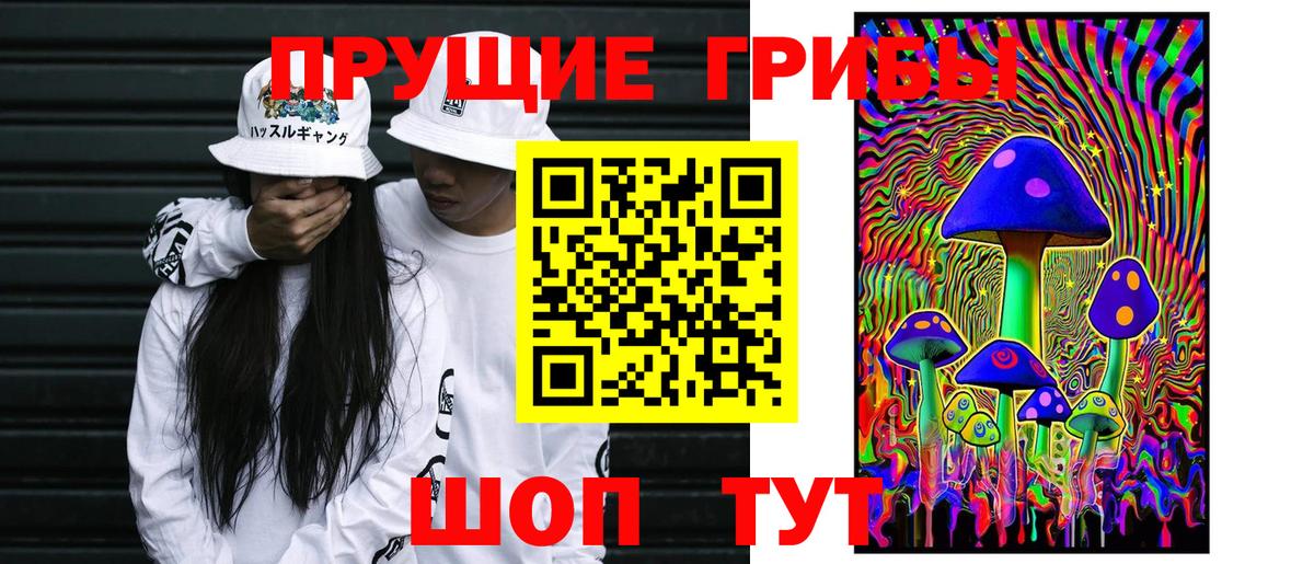 Выборг  Галлюциногенные грибы Psilocybine cubensis  Вход с VPN 
