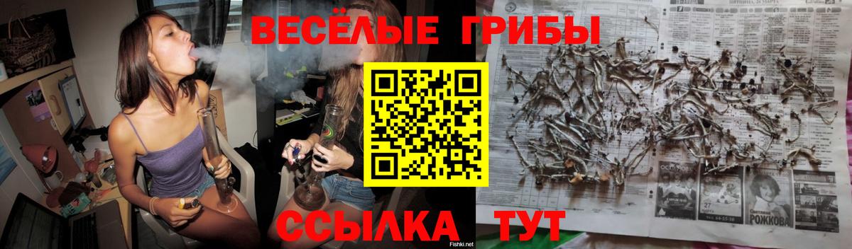 Псилоцибиновые грибы прущие грибы Выборг